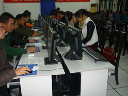 茅山镇计算机信息高新技术培训考试圆满落幕，数字技能赋能乡村振兴新篇章